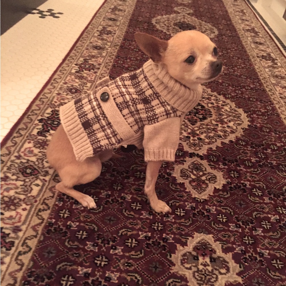 Brown & Tan Plaid Turtleneck Long Sleeve (Front) Dog Sweater